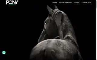 Ponyadvertising.com Screenshot 2024-07-05 10:15:52