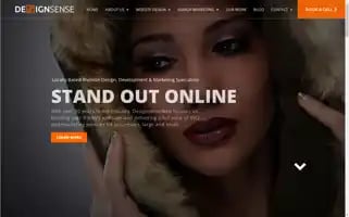 Designsenseweb.com.au Screenshot 2024-06-30 02:56:22