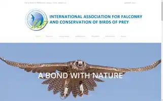 Iaf.org Screenshot 2024-07-06 00:57:19