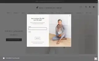 Thecashmereshop.com Screenshot 2024-05-05 06:58:13