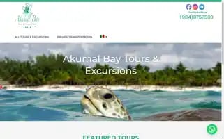 Akumalbaytours.com Screenshot 2024-04-17 19:46:06