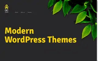 Okthemes.com Screenshot 2024-06-14 04:41:38