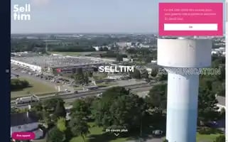 Selltim.com Screenshot 2024-06-14 22:31:15