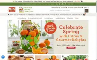 Halegroves.com Screenshot 2024-05-10 00:26:56