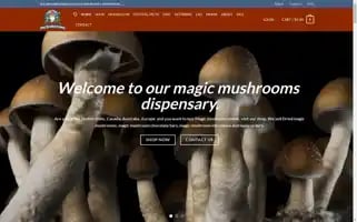 Magicmushroommaster.com Screenshot 2024-05-24 06:12:05