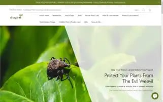 Dragonfli.co.uk Screenshot 2024-05-05 08:19:34