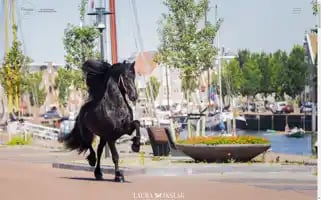 Friesianhorsekalender.nl Screenshot 2024-05-22 11:04:40