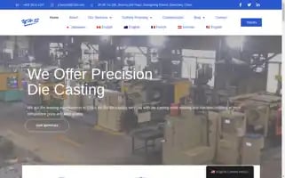 Best-diecasting.com Screenshot 2024-05-20 08:53:40