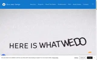 Opuswebdesign.ie Screenshot 2024-06-18 05:02:19