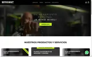 Efficientcep.com Screenshot 2024-05-22 21:14:56
