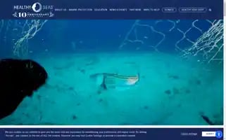 Healthyseas.org Screenshot 2024-06-30 02:57:19