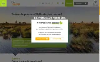 Bewapp.be Screenshot 2024-06-11 06:20:49