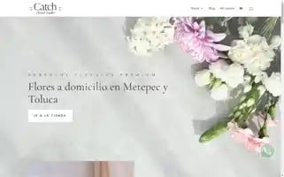 Catchfloreria.com Screenshot 2024-05-21 23:36:10