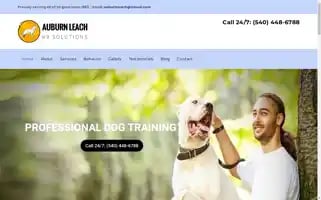 Dogtrainerva.com Screenshot 2024-05-09 11:09:26