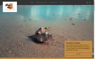Vacationsrustravel.org Screenshot 2024-04-23 01:05:57