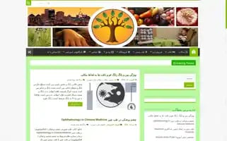 Tehranacupuncture.com Screenshot 2024-05-22 07:31:28