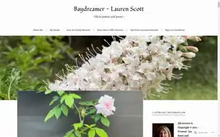 Baydreamerwrites.com Screenshot 2024-07-01 02:16:28