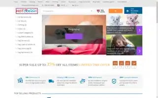 Hotdoggi.com Screenshot 2024-05-10 03:07:27