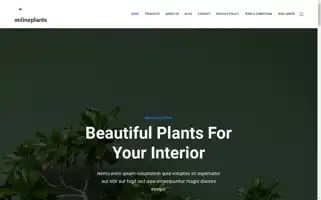 Onlineplants.info Screenshot 2024-05-26 11:52:24