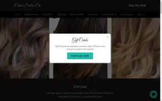 Erinssalon.com Screenshot 2024-05-15 21:22:17