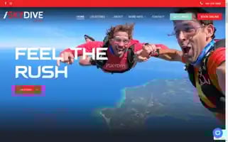 Iskydive.com Screenshot 2024-06-13 04:33:46