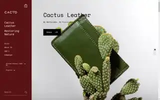 Cacto.green Screenshot 2024-05-04 22:51:04