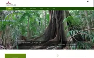 Cresttours.com Screenshot 2024-04-15 17:01:05