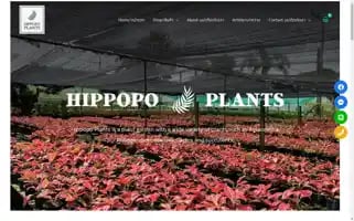 Hippopoplants.com Screenshot 2024-05-22 22:24:52
