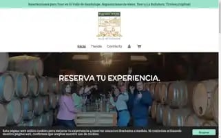 Paraisotoursvdg.com Screenshot 2024-04-23 10:26:28