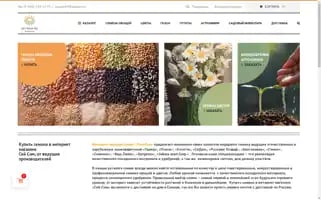 Seysam.ru Screenshot 2024-05-23 22:38:09