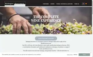 Bodegasbentomiz.com Screenshot 2024-06-11 05:47:27