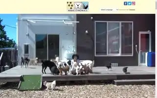 Ouchi-hotel.com Screenshot 2024-04-14 10:00:06