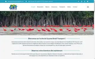 Guyanebresiltransport.fr Screenshot 2024-05-20 16:25:33