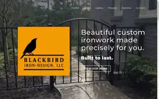 Blackbirdiron.com Screenshot 2024-07-06 18:30:51