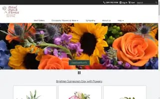 Petalpatchkaty.com Screenshot 2024-06-14 03:11:04