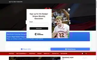 Badgerstripes.com Screenshot 2024-04-16 23:05:57