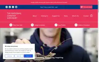 Nationallobsterhatchery.co.uk Screenshot 2024-07-01 23:29:29