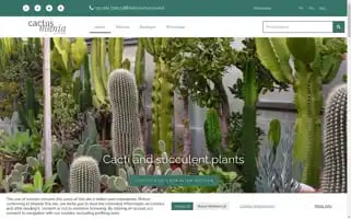 Cactusmania.shop Screenshot 2024-06-14 20:58:29