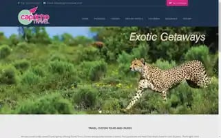 Caprichotravel.com Screenshot 2024-04-17 05:54:44