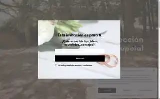 Amaiaartieda.com Screenshot 2024-07-09 19:50:28