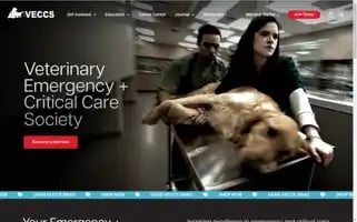 Veccs.org Screenshot 2024-07-02 08:45:51