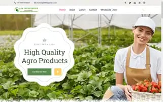 Amenterprises9399.com Screenshot 2024-05-28 16:14:55