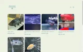 Windycityaquatic.com Screenshot 2024-05-02 07:49:22