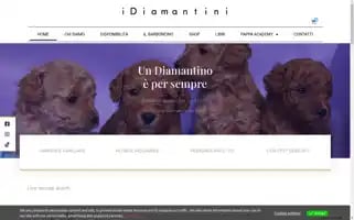 Idiamantini.com Screenshot 2024-05-18 18:50:24