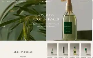 Thearomatica.com Screenshot 2024-05-14 07:14:27