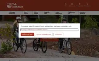 Falun.se Screenshot 2024-06-30 08:46:59