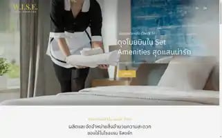 Wise-imex.com Screenshot 2024-06-18 12:45:18