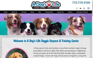 Adogslifeverobeach.com Screenshot 2024-07-06 23:20:14