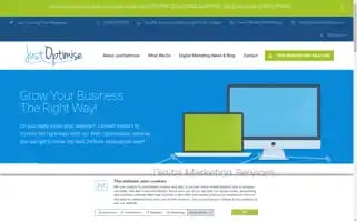 Justoptimise.com Screenshot 2024-06-19 02:51:54