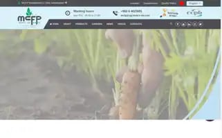 Mcfp.jo Screenshot 2024-07-03 00:55:57